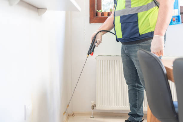 Best Wasp Removal Services  in Emerson, NJ