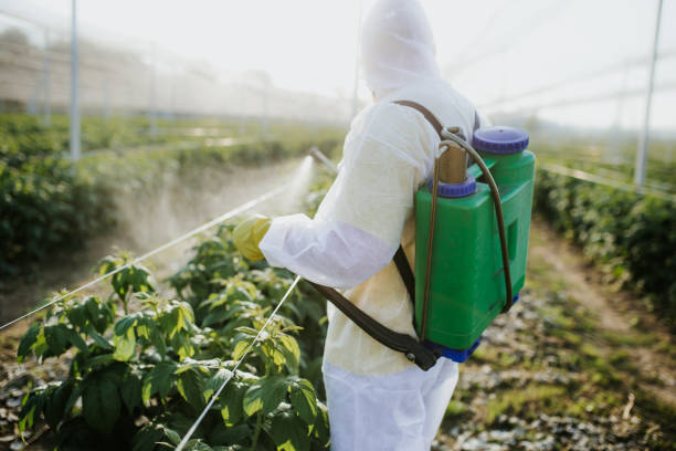 Best Best Pest Control Companies  in Emerson, NJ